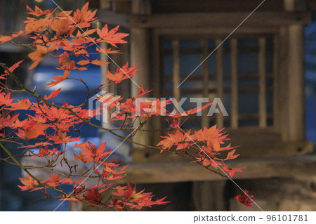 紅葉盛開的高野山 紅葉盛開的高野山 96101781