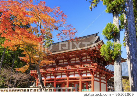 Koyasan in full bloom of autumn leaves 96101809