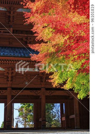 紅葉盛開的高野山 紅葉盛開的高野山 96101819