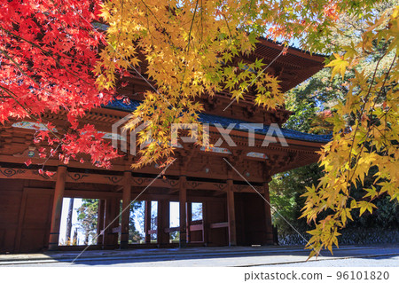 紅葉盛開的高野山 紅葉盛開的高野山 96101820