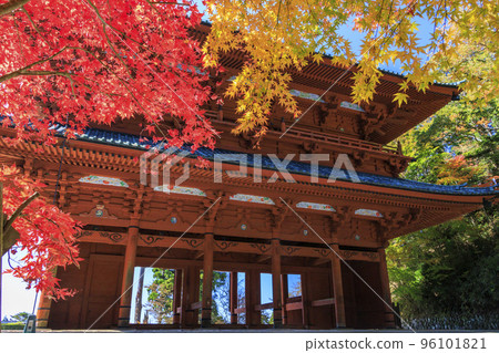 紅葉盛開的高野山 紅葉盛開的高野山 96101821