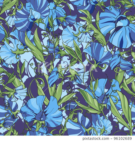 Blue flowers sweet pea on a blue purple background, floral seamless pattern. Blue flowers sweet pea on a blue purple background, floral seamless pattern. 96102689
