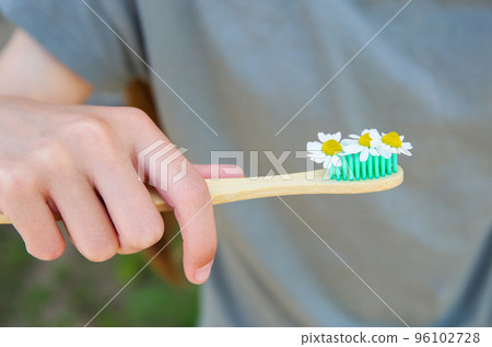 The girl holds a toothbrush with chamomile in her hand. Selective focus on toothbrush and chamomile. The girl holds a toothbrush with chamomile in her hand. Selective focus on toothbrush and chamomile. 96102728