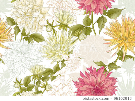 Dahlias flowers, outline Vector illustration.  96102913