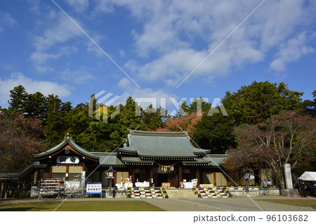 茨城縣水戶市護國神社的菊花節 96103682