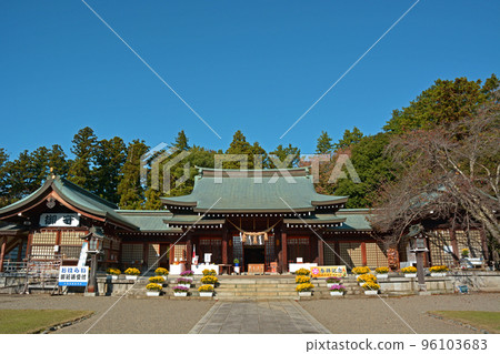 茨城縣水戶市護國神社的菊花節 96103683