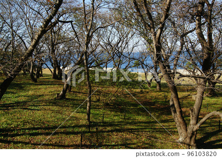 Yokosuka Hashirimizu Water Source Park 96103820