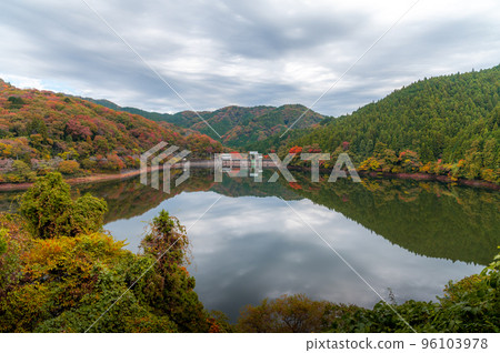 Takahagi City, Ibaraki Prefecture Mizusawa Dam in autumn colors 96103978