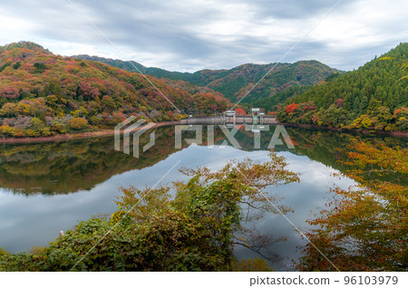 茨城縣高萩市秋色水澤大壩 96103979