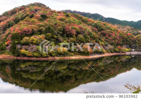 Takahagi City, Ibaraki Prefecture Mizusawa Dam in autumn colors Takahagi City, Ibaraki Prefecture Mizusawa Dam in autumn colors 96103982