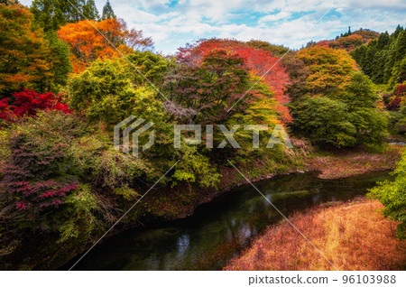茨城縣高萩市秋色水澤大壩 96103988