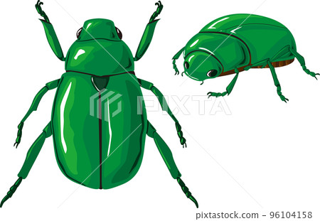 Kanabun 育種套件 Kanabun 育種套件 96104158