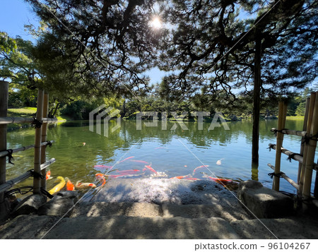 Ritsurin Garden in Akirei (mid-October) 96104267