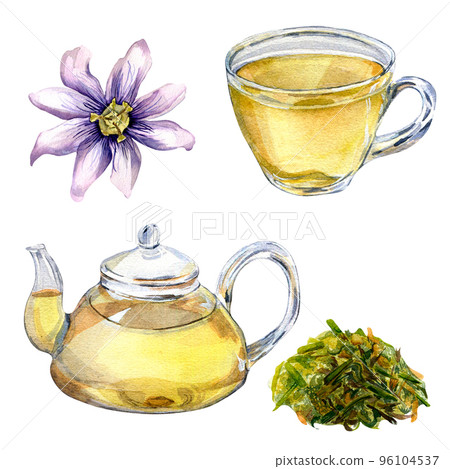 Set of glass teapot and cup, passion flower watercolor illustration isolated on white background. 96104537