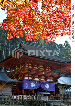 Nyutsuhime Shrine（羅紋，紅葉）[和歌山縣伊東郡葛城町] 96104668