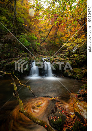 Takahagi City, Ibaraki Prefecture Hanazono Valley with autumn leaves 96104704