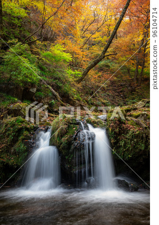 Takahagi City, Ibaraki Prefecture Hanazono Valley with autumn leaves Takahagi City, Ibaraki Prefecture Hanazono Valley with autumn leaves 96104714