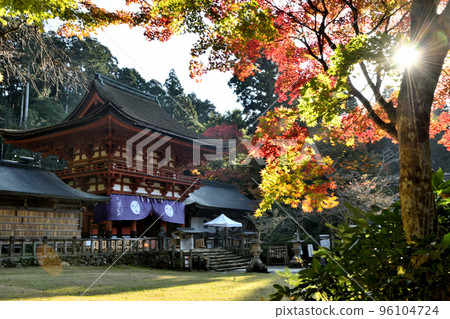 Nyutsuhime Shrine（羅門）[和歌山縣伊東郡葛城町] 96104724
