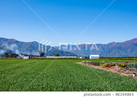Vivid pasture fields in Yamagata Village 96104863