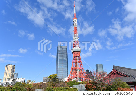 Scenery with a view of Tokyo Tower Scenery with a view of Tokyo Tower 96105540