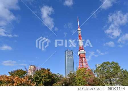 Scenery with a view of Tokyo Tower 96105544