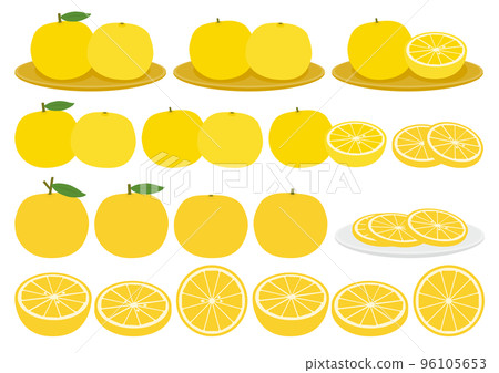 Set of yuzu illustrations Set of yuzu illustrations 96105653