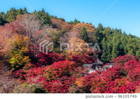 茨城縣醍醐町 英源寺紅葉寺 96105749