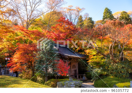 Daigo Town, Ibaraki Prefecture Eigenji Momiji Temple with autumn leaves 96105772