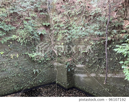 Nokogiri Yama is like natural museum famous for the unique shaped rocks or beautiful places. The ropeway was installed here with the investment cost of about 200million Yen (say US$ 1.85million). 96107192