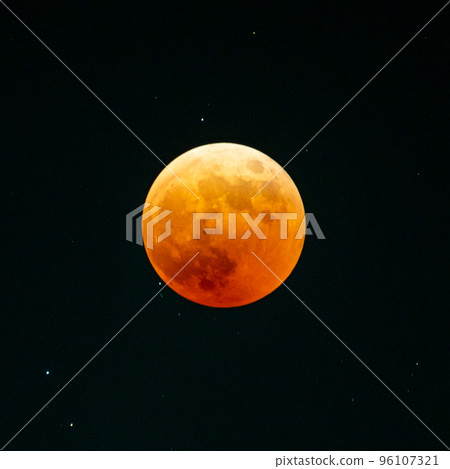 Mito City, Ibaraki Prefecture On the night of a total lunar eclipse Ibaraki Prefectural Museum of History lined with ginkgo trees lit up 96107321