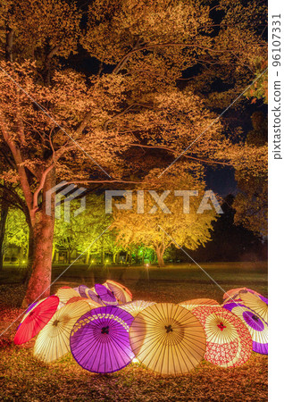 Mito City, Ibaraki Prefecture On the night of a total lunar eclipse Ibaraki Prefectural Museum of History lined with ginkgo trees lit up 96107331