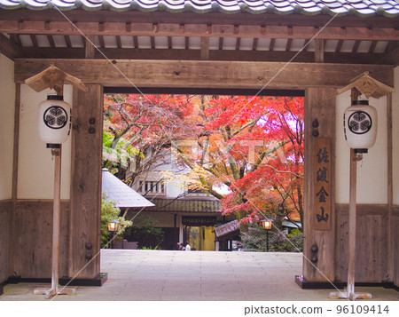 佐渡島金山紅葉 96109414