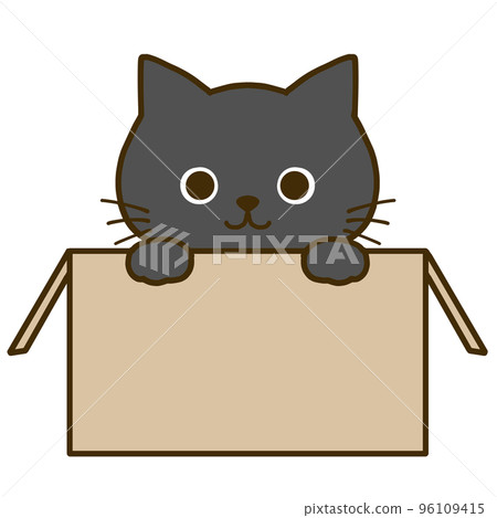 A black cat that enters a cardboard box and tells something A black cat that enters a cardboard box and tells something 96109415