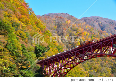 Autumn Kurobe Gorge Railway Shinyamabiko Bridge 96109775