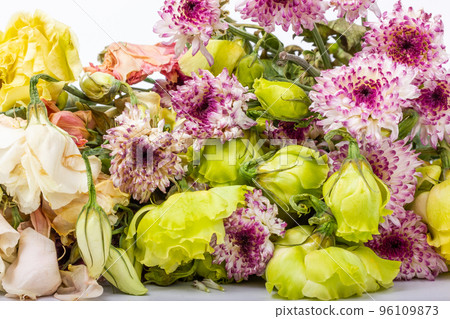 Withered flowers. Withered chrysanthemums. Withered eustoma. Bouquet of withered flowers. Withered flowers. Withered chrysanthemums. Withered eustoma. Bouquet of withered flowers. 96109873