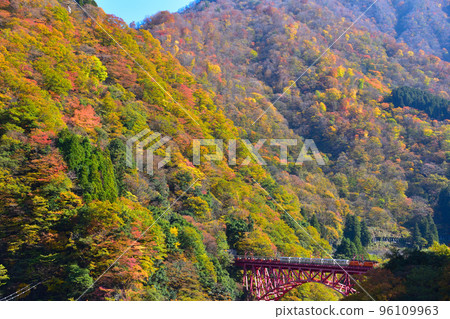 Autumn Kurobe Gorge Railway Shinyamabiko Bridge 96109963