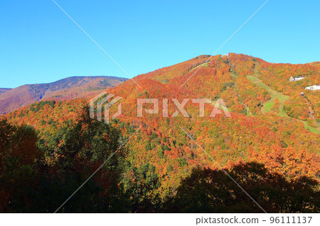 秋天的志賀高原，山之站的景色 96111137