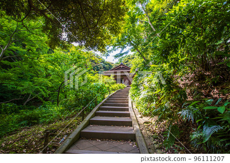 Scenery of Sankeien Garden, Kanagawa Prefecture Scenery of Sankeien Garden, Kanagawa Prefecture 96111207