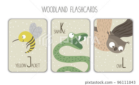 Colorful alphabet letters J, K, L. Phonics flashcard. Cute woodland themed ABC cards for teaching reading with funny yellow jacket, snake, owl. 96111843