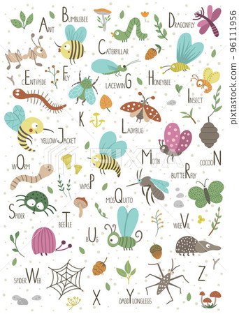 Woodland alphabet for children. Cute flat ABC with forest insects. Vertical layout funny poster for teaching reading on white background. 96111956