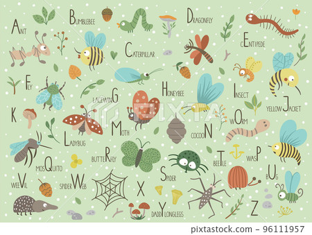 Woodland alphabet for children. Cute flat ABC with forest insects on green background. Horizontal layout funny poster for teaching reading on white background. 96111957