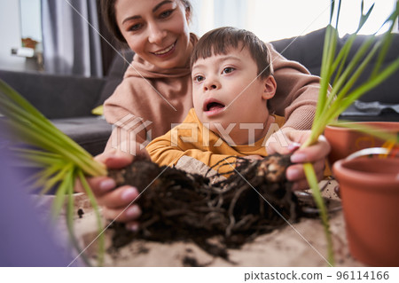 Woman replacing flowers with her little son with down syndrome at the table at home 96114166