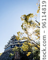 更新後的岡山城 96114819