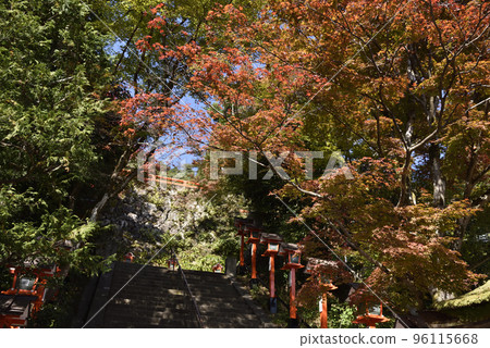 Kurama寺秋葉 96115668