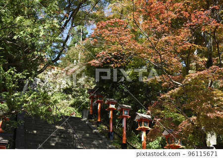 Kurama寺秋葉 96115671