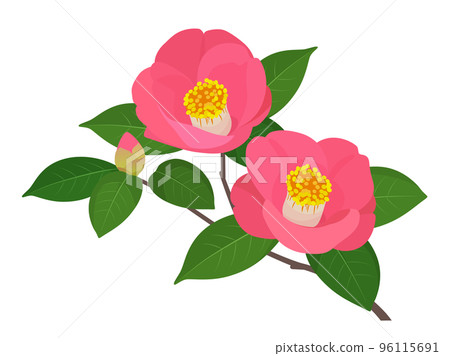 Camellia One Point_Pink 96115691
