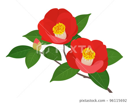 Camellia one point 96115692