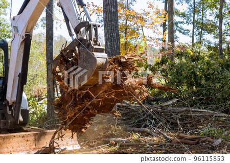 In course of landscaping land that has been cleared from roots for purpose housing development subdivision was cleared by tractor skid steers. In course of landscaping land that has been cleared from roots for purpose housing development subdivision was cleared by tractor skid steers. 96115853