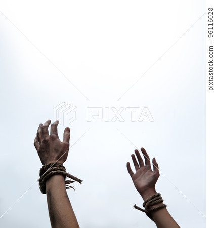 Tied hands raised to the sky Tied hands raised to the sky 96116028
