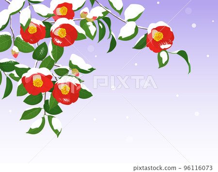 Camellia blooming in the snow_frame background Camellia blooming in the snow_frame background 96116073